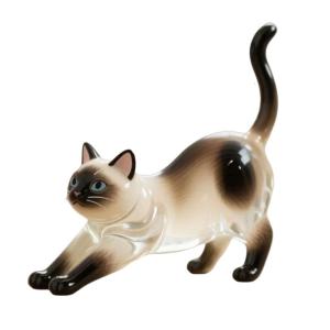 Creative Cats Hair Keepsakes Display Box For Pet Lover Gift Plastic Clear Decorative Container To Preserve Furs Memory