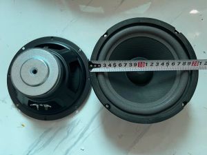 Loa rời bass 20 từ 100 coil 25 gân mút - Giá 1 chiếc