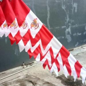 umbul umbul garuda zigzag 8 mata 17 agustus isi 300 buah