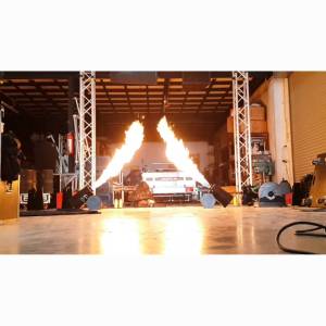 เครื่องพ่นไฟ AC220V/ 200W /Spray the Fire Spray Fire Machine Flame Projector Flame Machine DMX Fire Machine และ LPG Flame Machine LPG DMX Fire for Stage Effect