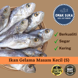Ikan Masam Gelama Pulau Pangkor Gred 5A (100g) Ikan Masin Gelamah