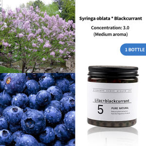 Buy 1 Get 1 Free Car scent beads 190g Purifying air Aromatherapy home fragrance Deodorant