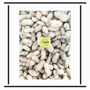 Kacang Kulit Sangrai / kacang pasir / kacang goreng 500 gr / kacang murah