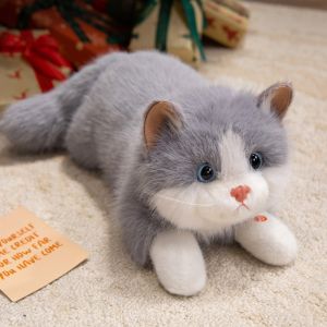 INEXTIN Có giọng nói Đồ chơi nhồi bông mèo mô phỏng Mềm mại Thú nhồi bông Dễ thương Búp bê mèo thực tế Quà sinh nhật