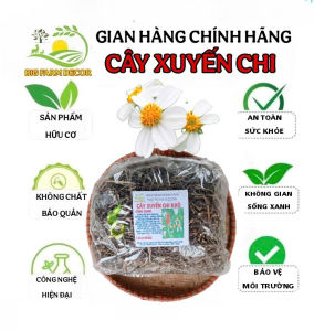 100g cây xuyến chi sấy khô