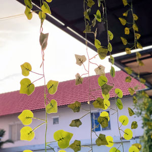 หญ้าเทียม เถาวัลย์ ปลอม 1เส้นยาว 220cm ใบไม้ประดิษฐ์ ใบองุ่น พลูด่าง ใบเมเปิ้ล ใบแตงโม ประดิษฐ์ ตกแต่งบ้าน ตกแต่งสวน