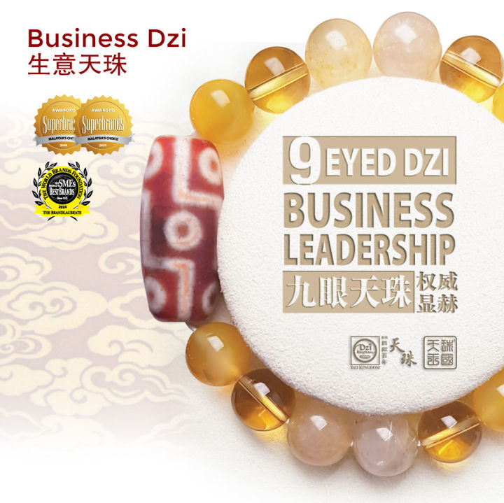 Dzi Kingdom Red Jade Nine Eyed Dzi Bracelet 天珠王国红玉九眼天珠