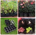 7 Size Borong UV PolyBag Fertigasi Polibag Hitam Nursery Pot Pasu Sayur Plastik Tebal Planting Bag Cawan Susu育苗盆花盆. 
