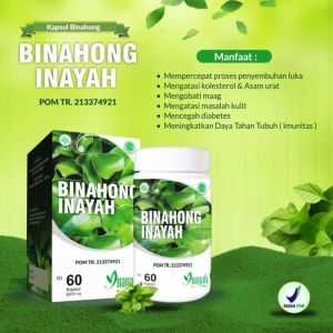 Kapsul Ekstrak Daun Binahong 60 kpsl untuk Mengobati Luka Dalam & Luar