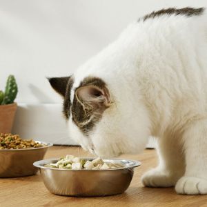 2 in 1 Bamboo Pet Bowl Cat Food Water Feeder Elevated Detachable Stainless Steel Double Bowl Pet Supplies Air Kucing