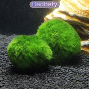 Heabety 3-4cm Marimo Moss Balls Live Aquarium Plant Algae Fish Shrimp Tank Ornament Simulation Green Algae Balls Artificial Plant