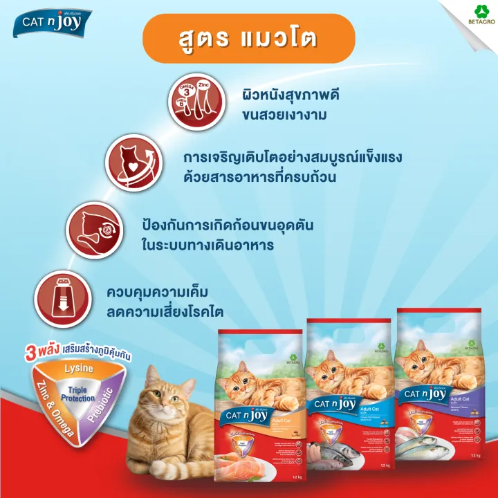 CAT%20n%20joy%20Tripple%20Protection%20%E0%B8%AA%E0%B8%B9%E0%B8%95%E0%B8%A3%E0%B9%81%E0%B8%A1%E0%B8%A7%E0%B9%82%E0%B8%95%20%20%E0%B8%A3%E0%B8%AA%E0%B8%9B%E0%B8%A5%E0%B8%B2%E0%B8%97%E0%B8%B0%E0%B9%80%E0%B8%A5%E0%B8%A3%E0%B8%A7%E0%B8%A1%201.2kg%20-%20Image%205
