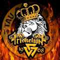 tau gamma phi decals stickers tres. 