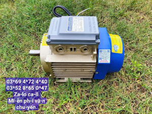 Động cơ Toàn Phát 2hp - 15kw chính hãng dây đồng bảo hành 12 tháng