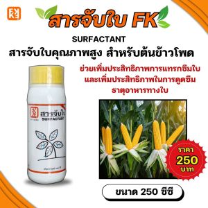สารจับใบFK สารจับใบคุณภาพสูง สำหรับต้นข้าวโพด เพิ่มประสิทธิภาพในการดูดซึม ธาตุอาหารทางใบ ขนาด 250CC