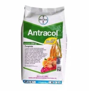 Fungisida Kontak Antracol 70 WP 250 gr Pengendali Jamur & Penyakit Tanaman