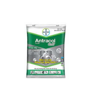 Antracol 70WP Bayer - Thuốc Trừ Nấm Bệnh Cho Cây