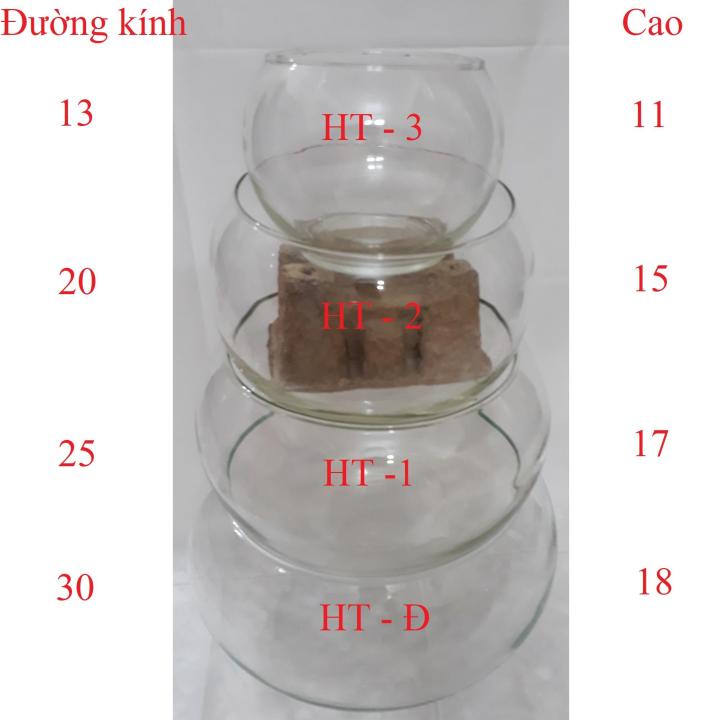 B%E1%BB%83%20C%C3%A1%20Tr%C3%B2n%20L%E1%BB%9Bn%20-%20H%E1%BB%93%20C%C3%A1%20%C4%90%E1%BB%83%20B%C3%A0n%20-%20Ch%E1%BA%ADu%20C%C3%A1%20Th%E1%BB%A7y%20Tinh%20HT-1%2025x25x17%20-%20Image%205