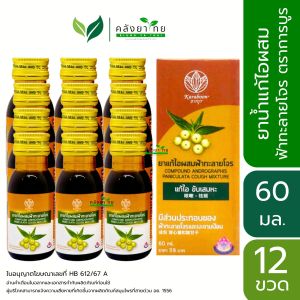 ยกโหล 12 ขวด ยาแก้ไอผสมฟ้าทะลายโจร แบรนด์การบูร/ยาแก้ไอ ตราแอนดร็อกซิล Androxsil KMP 60 มล.