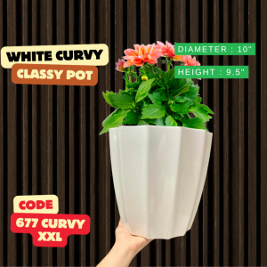 White Classy Curvy Pot for Plants | Aesthetic Minimalist Flower Pot for Home & Garden