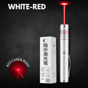 Mini Laser Pointer Pen USB Rechargeable Red Green Light Presentation Teaching Pointer Portable