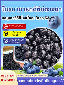 🚛จัดส่งวันนั้น🚛บลูเบอร์รี่อบแห้งจากธรรมชาติ ดวงตาคู่หู ไม่มีการเติมแต่ง อุดมไปด้วยแอนโทไซยานิน พร้อมทาน อาหารอร่อย อุดมไปด้วยแอนโทไซยานิน บลูเบอร์รี่แห้ง