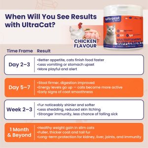 SG Local Cheapest Bitacat Cat Vitamin Kibbles Buy 5 free 30pcs cat treats