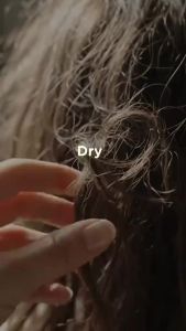 Human Nature Moisturizing Shampoo for Dry Rough Hair Smooth Frizz Control Hydrating