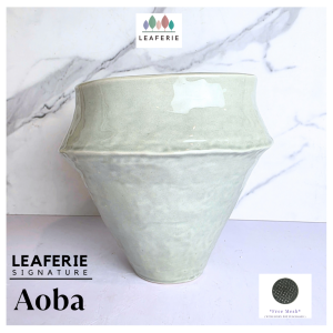 The Leaferie Signature Aoba plant pots. Ceramic flowerpot . flowerpots . flower pot . planter