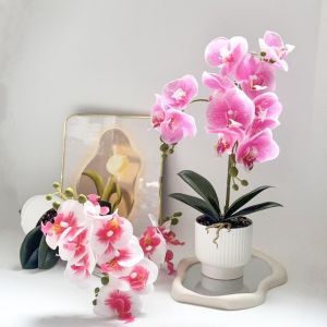 OWMXZL Multi-Bloom Simulated Butterfly Orchid White Flower Pot DIY Plastic Fake Flower  Faux Flowers Artificial Orchid Bonsai Home Decor