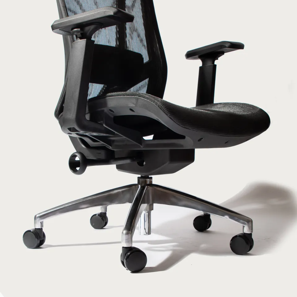 Back Professional Ergonomic Chair Lumbar Support Office Chair With