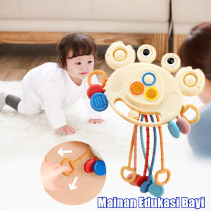 Baby sensori toys mainan Multifungsi theeter bayi gigitan bayi activity baby toys
