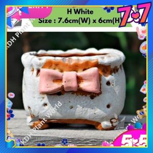 KDH Ready Stock Cute Ribbon Flower Succulent Cactus Pot Pasu Bunga Sukulen Cacti 创意韩国彩绘陶瓷多肉小花盆