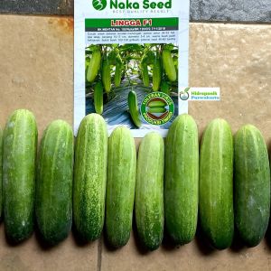 Benih Mentimun Timun LINGGA F1 Tipe Lalab Isi 20 Gram Cap Naka Seed