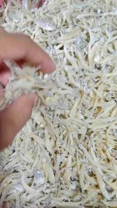 Teri Medan Super 1/2kg