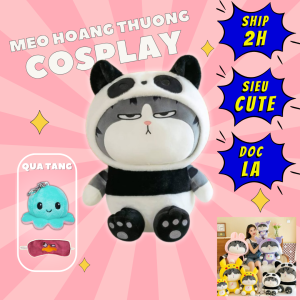 Gấu bông mèo hoàng thượng – Quà tặng thú nhồi bông mèo mặt quạu siêu dễ thương – Size từ 25 đến 60 cm – Gối ôm cho bé ngủ ngon