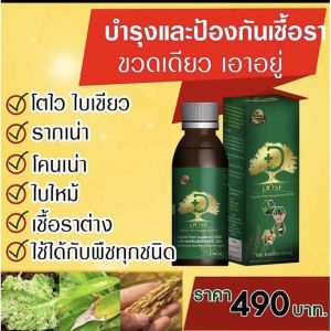 Dose ✅แก้หน้ายางตาย เพิ่มผลผลิต ลดเชื้อรา เปลือกนิ่มสมบูรณ์ยั่งยืน