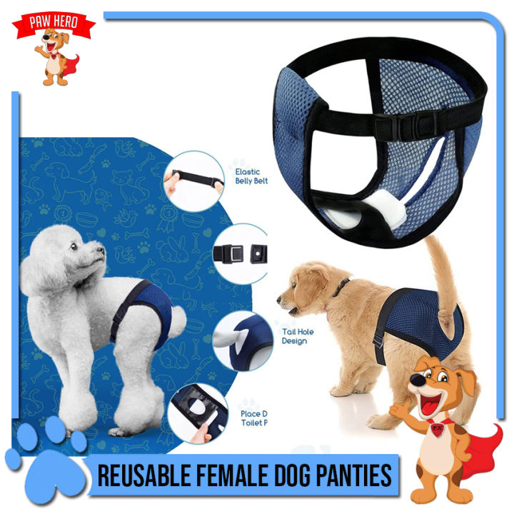 Cotton 2PCS Dog Sanitary Menstrual Panties Female, Puppy Diapers with – KOL  PET