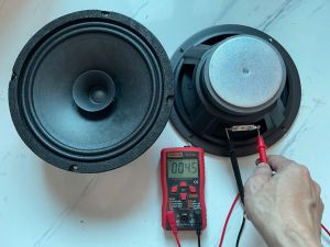 Loa bass 20 toàn dải từ 100 coil 25 gân vải - giá 1 loa