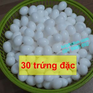 30 trứng bồ câu giả trứng nhựa đặc bền cho chim câu CB30TRD