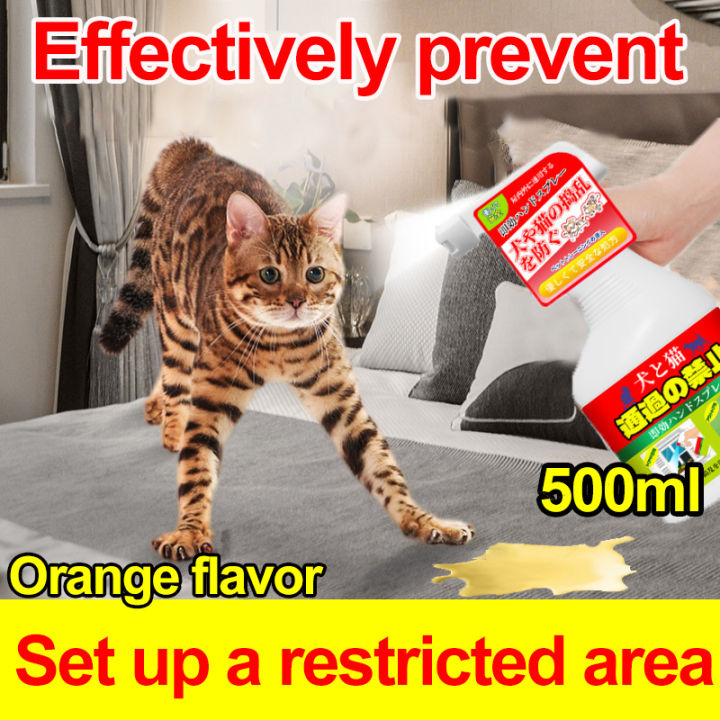 Cat repellent safe outlet for dogs