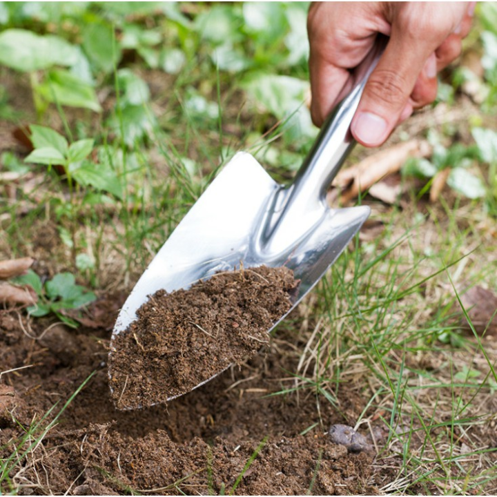 6 อันดับ เสียมและพลั่วทำสวนยอดนิยม ประจำปี 2025: ขุดดิน พรวนดินง่าย ไม่ต้องออกแรงเยอะ!