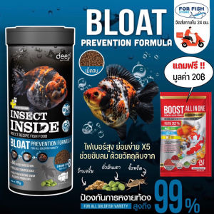 Deep Bloat Prevention : อาหารปลาทองสูตรสุขภาพ ป้องกันท้องอืด ช่วยขับลม
