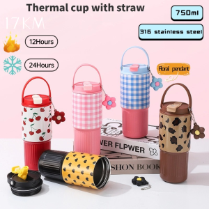 17KM Tumbler 750ML Hot and Cold 316 Stainless Steel Water Bottle with Handle&Straw Office