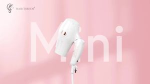 Travel Hair Dryerwith Diffuser&Concentrator110~250V Dual Voltage Hair Dryer Blow DryerSize for an Travel Portable Blow Dryers for Women and Men with EU Plug