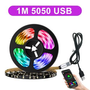 lampu led 5050 RGB LED Strip Lampu LED Lampu Hias Strip USB Kamar Dekorasi Rumah Lampu 1/2/3/4/5/10/15M Lampu Belakang TV APP Control