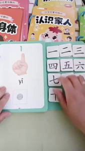 【Ship in 24H】Ship 24H 幼儿识字安静书 学前识字早教启蒙粘贴书安静书 魔术贴认知卡片八大主题全套益智玩具 幼兒園 认字练习 Chinese Literacy Quiet Book