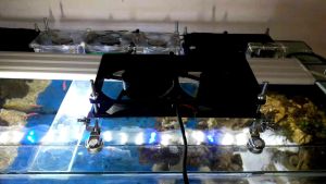 Dudukan miring kipas aquascape akuarium satu set kanan kiri