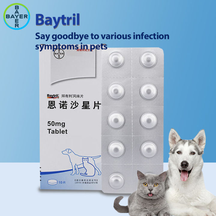 Baytril Dog and Cat Medicine for Post-operative Bacterial Urinary Tract ...