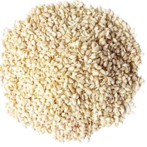 Wijen Organik Putih Premium 100gr - Rendah Gula Bebas Lemak Trans